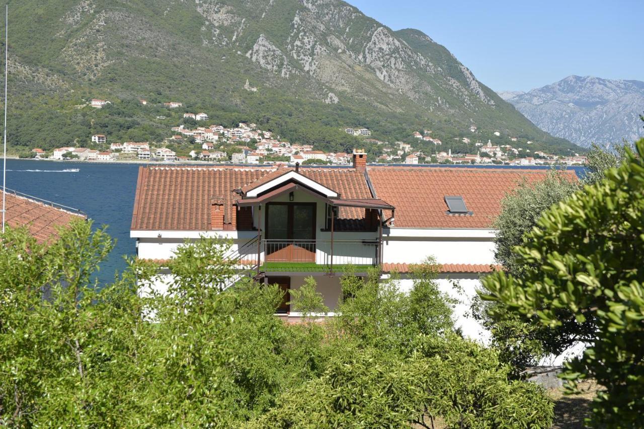 Apartamento Viva Kotor Exterior foto
